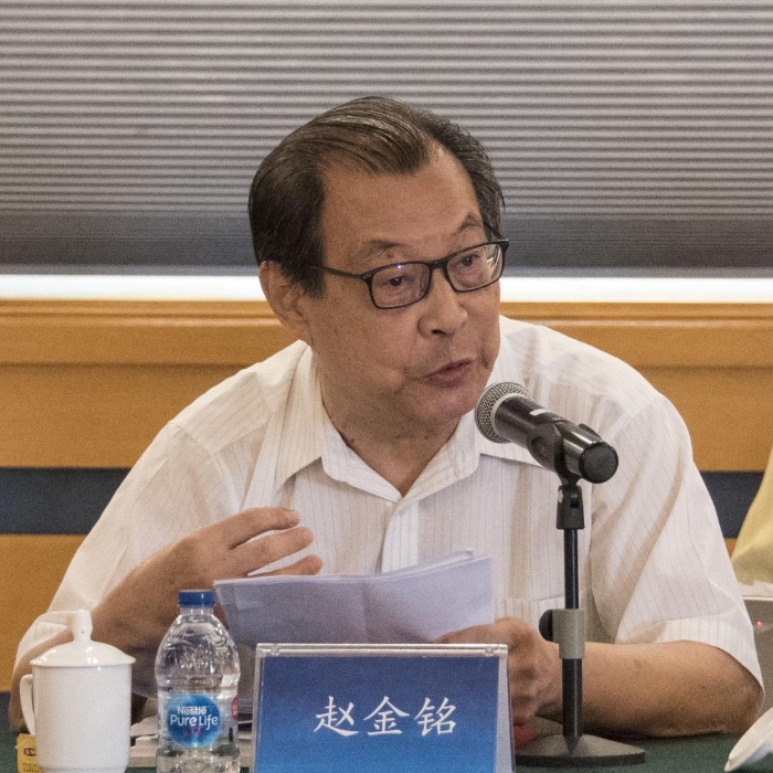 国际汉语教育17